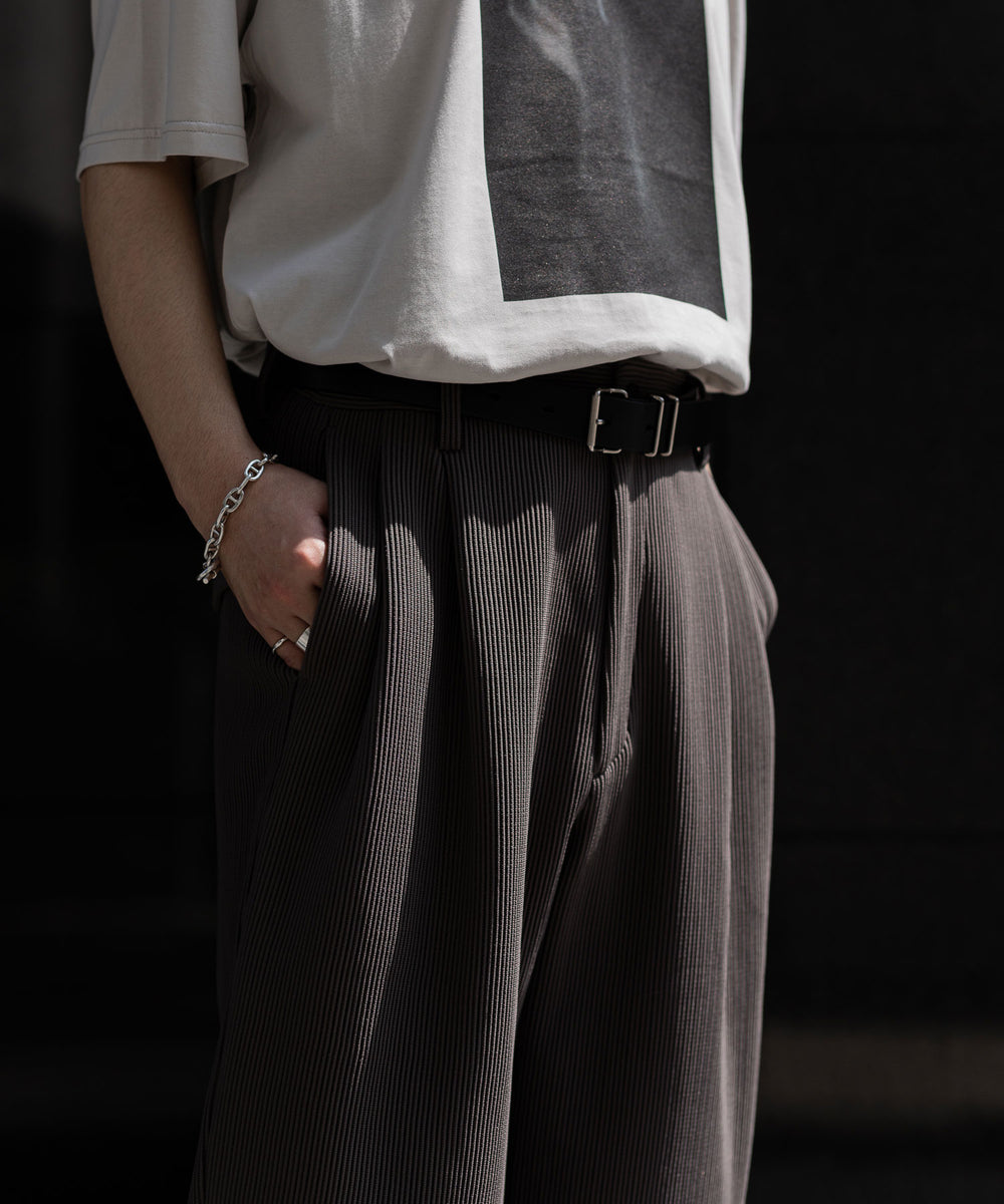 【stein / シュタイン】GRADATION PLEATS TWO TUCK TROUSERS - D.GREIGE | 公式通販サイト  session(セッション)