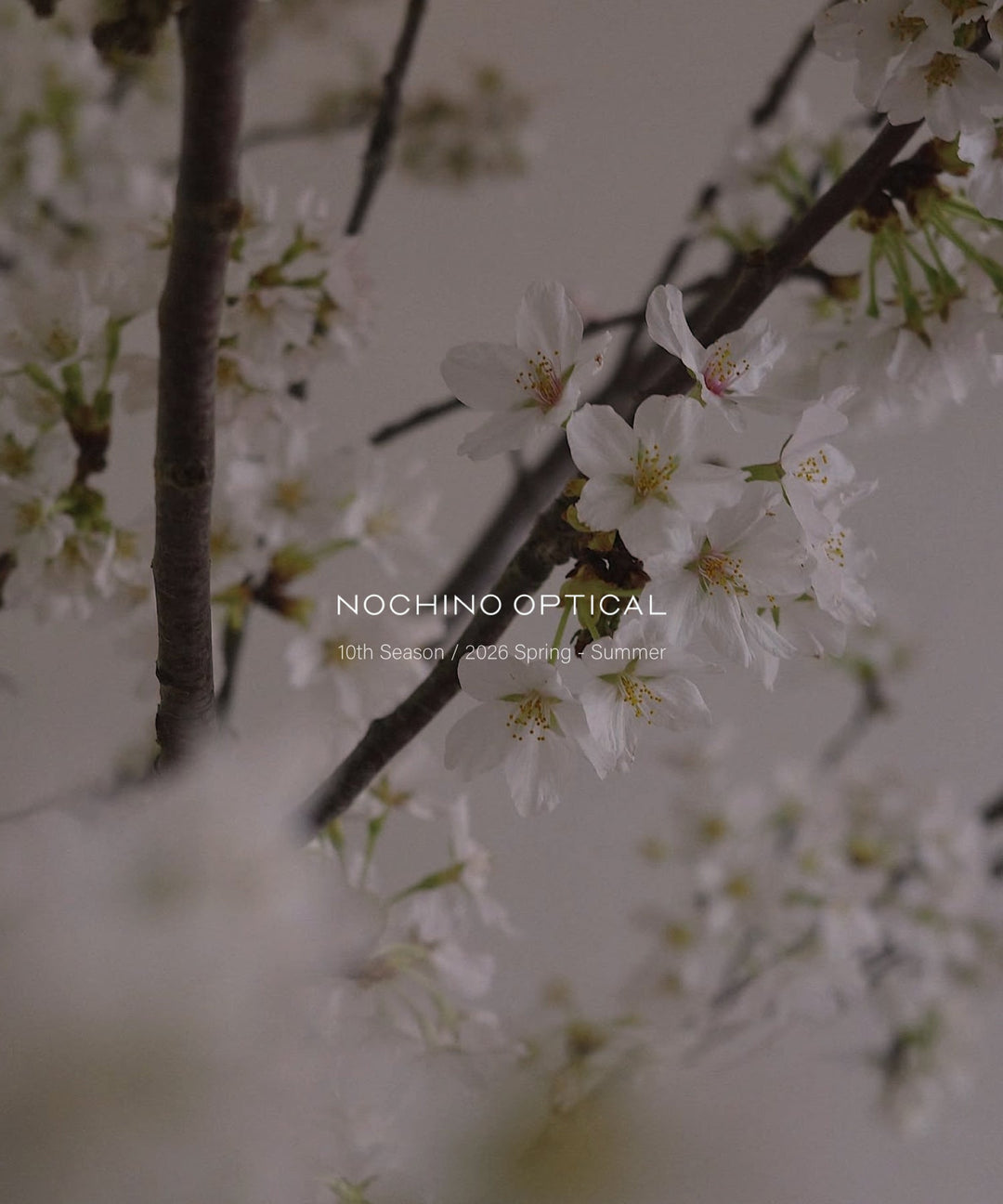 NOCHINO OPTICAL 10th Season’s Delivery | 04.18.SAT発売