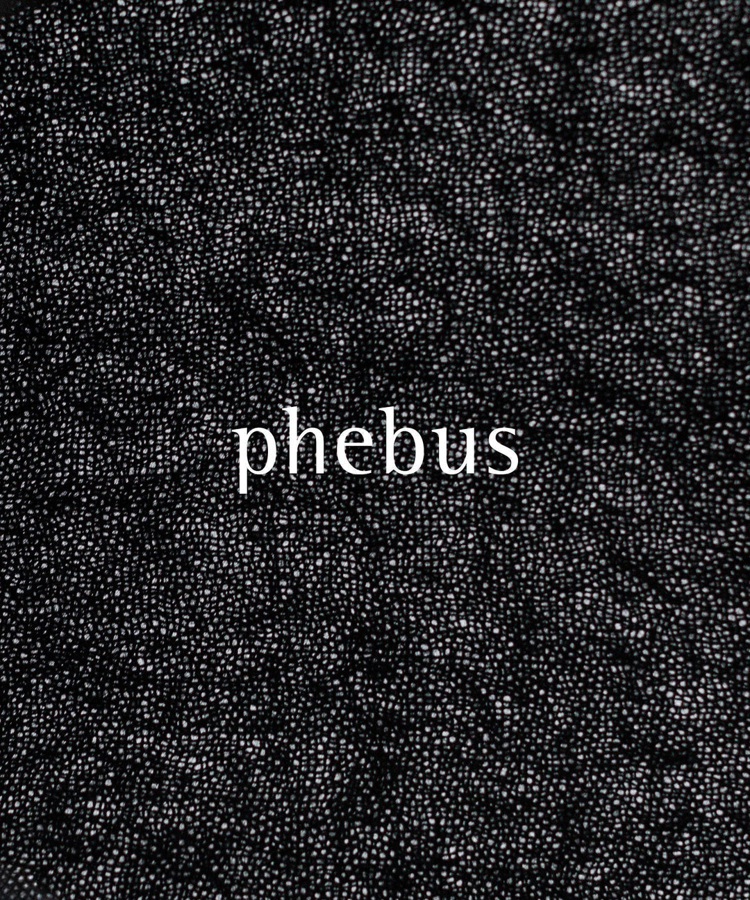 phebus / フィーバス 26AW COLLECTION | 07.25.SAT発売