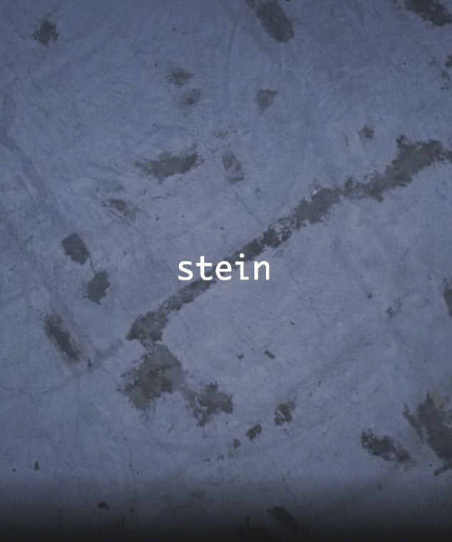 stein ssstein 22aw 予約