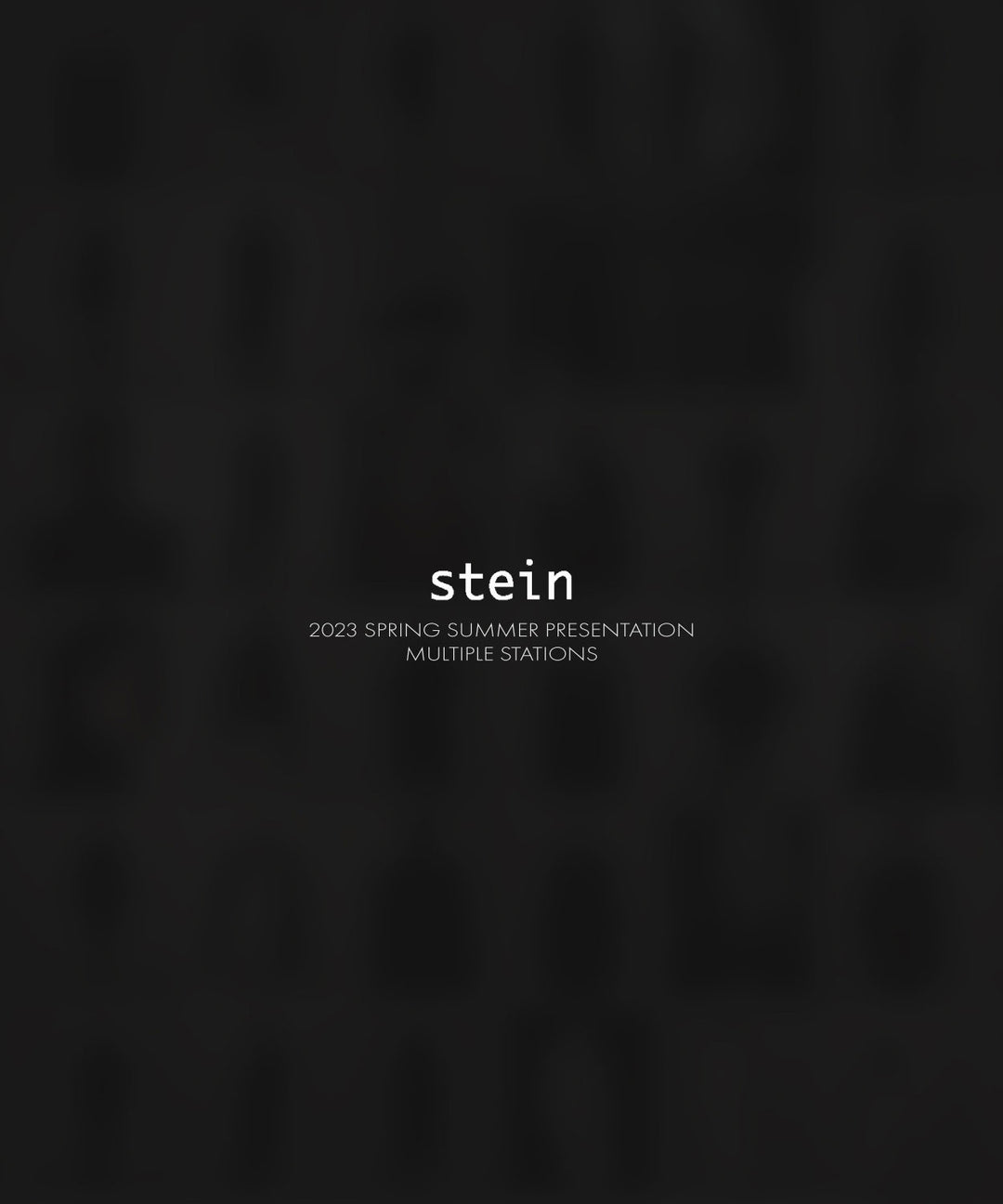 stein シュタイン 23ss 先行予約 session福岡