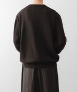 画像をギャラリービューアに読み込む, ssstein(シュタイン)のORGANIC COTTON KNIT CREW NECK LS - DARK BROWNの公式通販サイトsession福岡セレクトショップ
