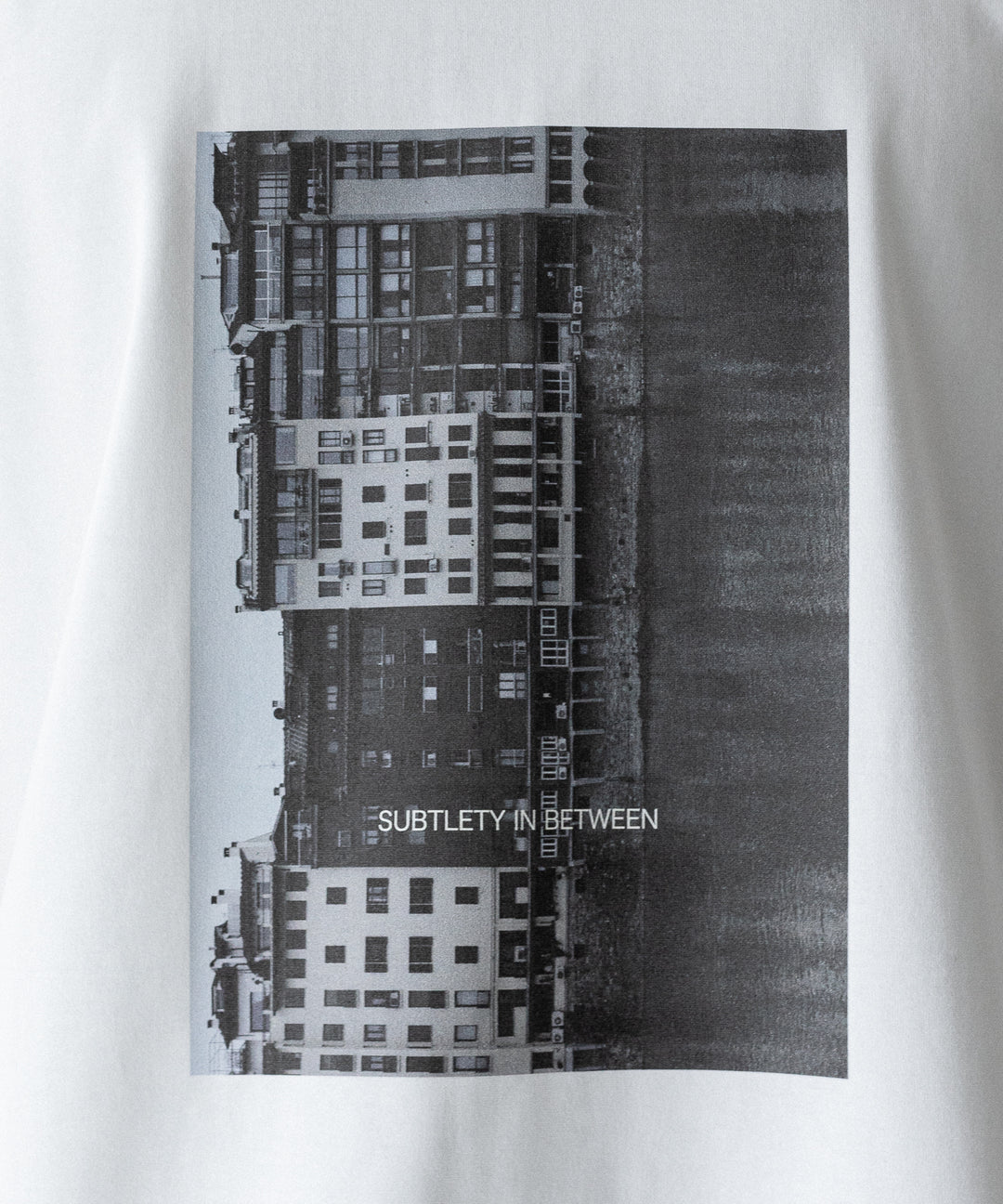 ssstein(シュタイン)のOVERSIZED PRINT TEE [SUBTLETY] - WHITEの公式通販サイトsession福岡セレクトショップ