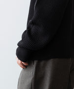 画像をギャラリービューアに読み込む, INTÉRIM - インテリムのWOOL SILK CASHMERE DEAD STOCK YARN DOUBLE RIB CREW SWEATERのBLACK公式通販サイトsession福岡セレクトショップ
