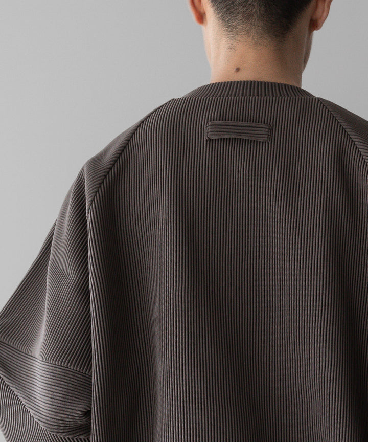 【stein】ssstein シュタインのGRADATION PLEATS COMBINATION SLEEVES LS - D.GREIGE 公式通販サイトsession福岡セレクトショップ