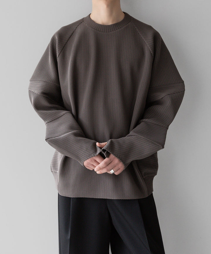 【stein】ssstein シュタインのGRADATION PLEATS COMBINATION SLEEVES LS - D.GREIGE 公式通販サイトsession福岡セレクトショップ