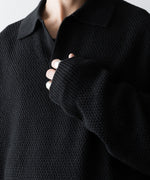 画像をギャラリービューアに読み込む, The Viridi-anneザ ヴィリディアンのLINEN KNIT POLOのBLACK 公式通販サイトsession福岡セレクトショップ
