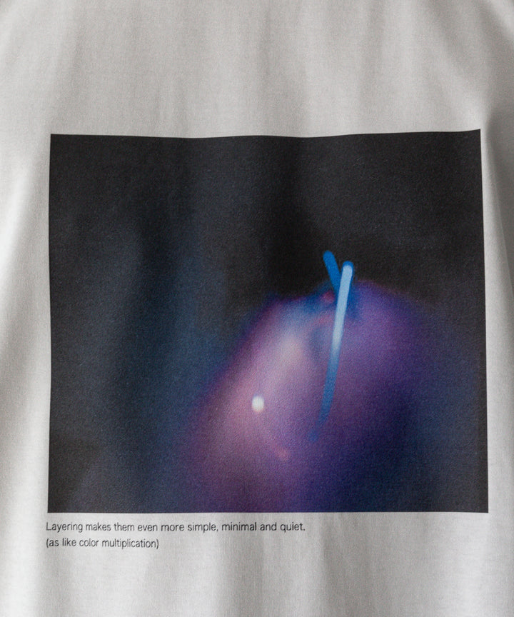 ssstein stein(シュタイン)の24SS PRINT TEE [ MULTIPLICATION ] のBEIGE(MERCERISED COTTON) 公式通販サイトsession福岡セレクトショップ