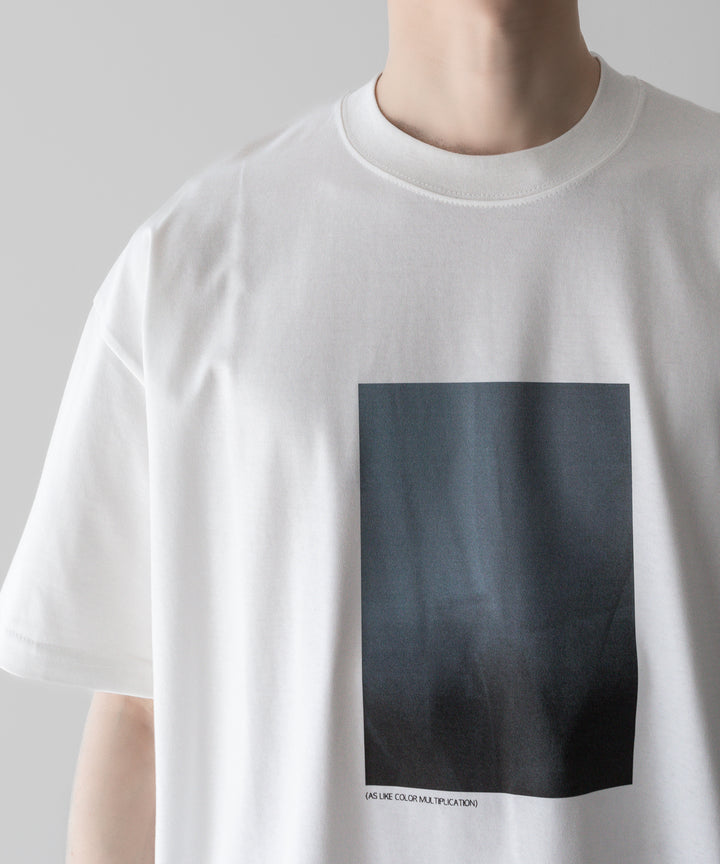 ssstein stein(シュタイン)の24SSコレクション PRINT TEE [ LAYERING ]のWHITE(MERCERISED COTTON) 公式通販サイトsession福岡セレクトショップ