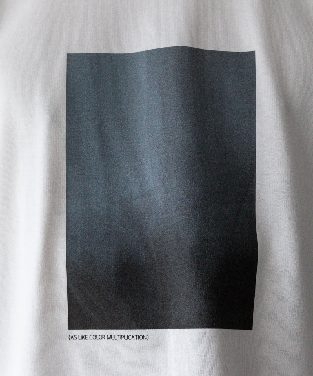 ssstein stein(シュタイン)の24SSコレクション PRINT TEE [ LAYERING ]のWHITE(MERCERISED COTTON) 公式通販サイトsession福岡セレクトショップ