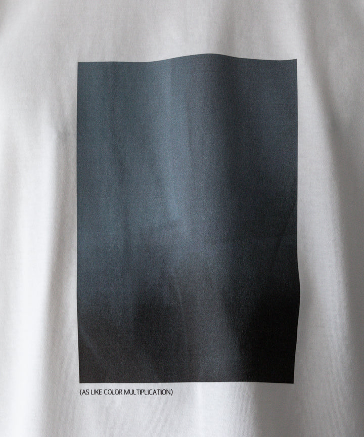 ssstein stein(シュタイン)の24SSコレクション PRINT TEE [ LAYERING ]のWHITE(MERCERISED COTTON) 公式通販サイトsession福岡セレクトショップ