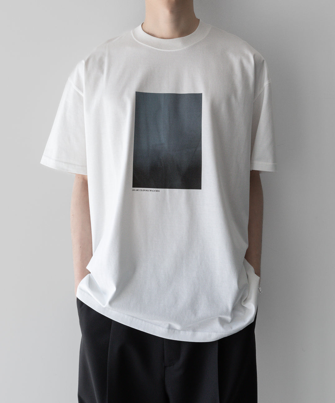 ssstein stein(シュタイン)の24SSコレクション PRINT TEE [ LAYERING ]のWHITE(MERCERISED COTTON) 公式通販サイトsession福岡セレクトショップ