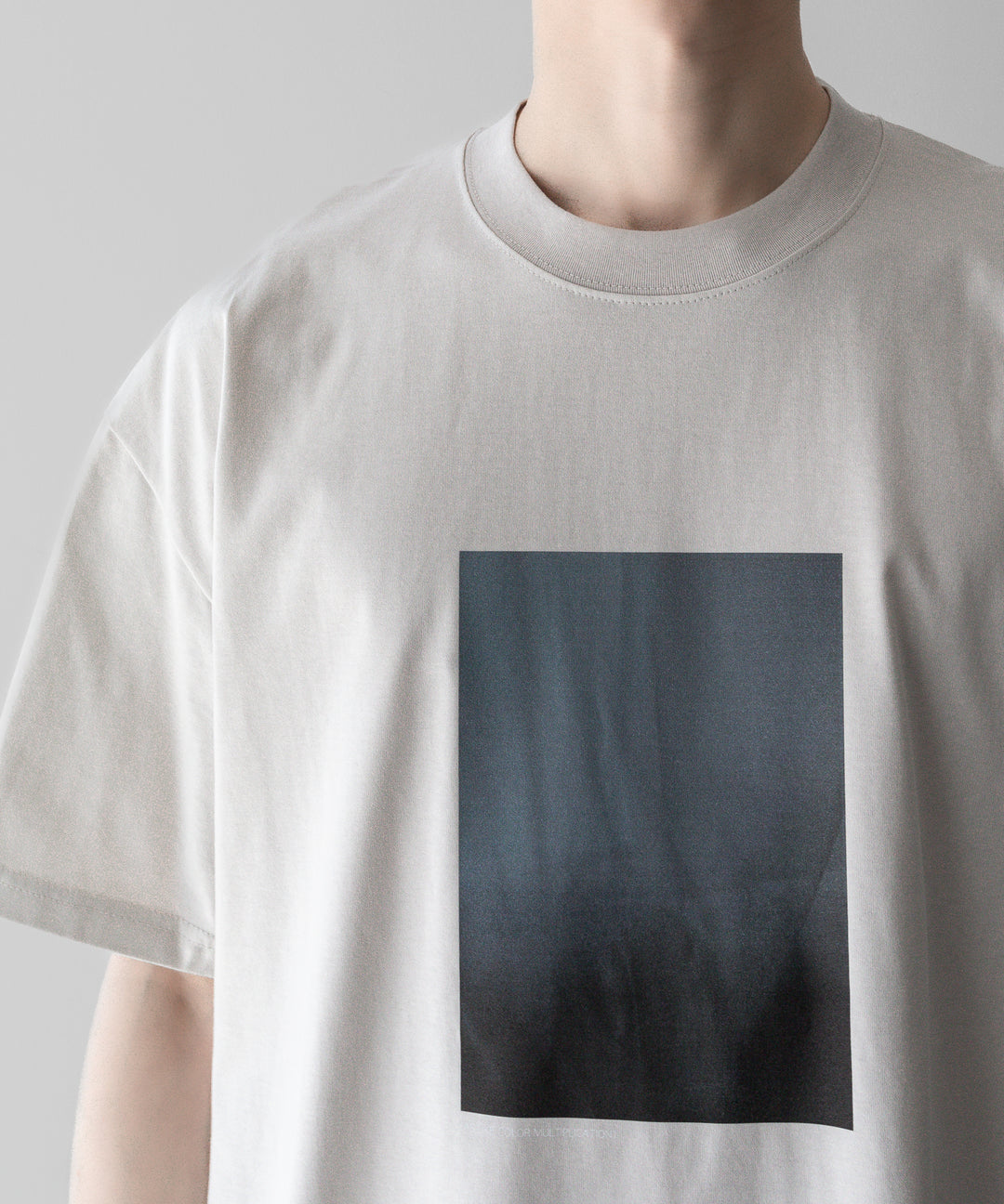 ssstein stein(シュタイン)の24SSコレクション PRINT TEE [ LAYERING ]のBEIGE(MERCERISED COTTON) 公式通販サイトsession福岡セレクトショップ