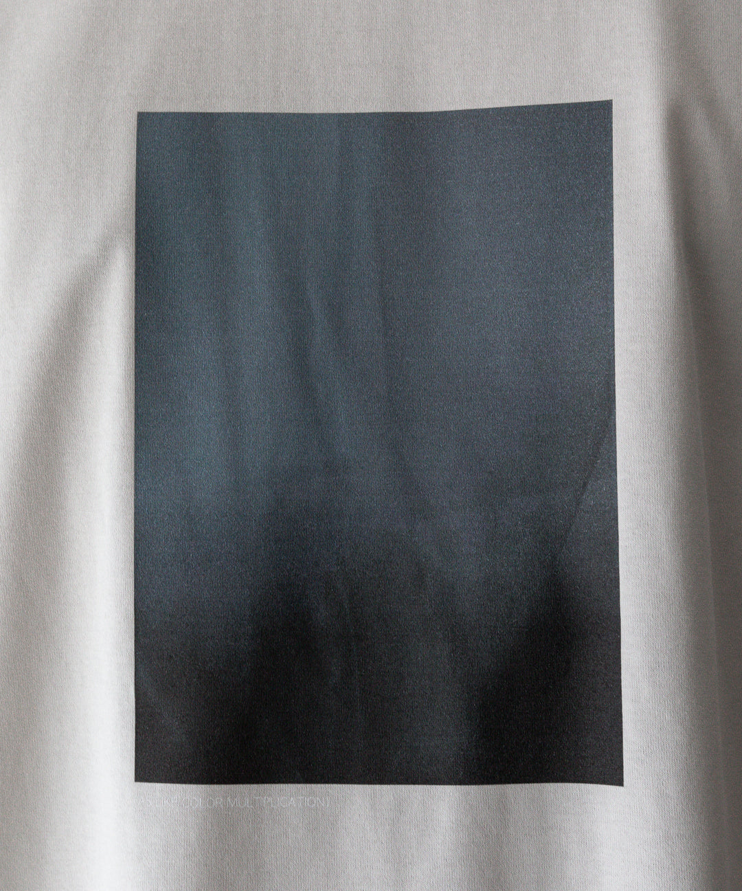 ssstein stein(シュタイン)の24SSコレクション PRINT TEE [ LAYERING ]のBEIGE(MERCERISED COTTON) 公式通販サイトsession福岡セレクトショップ