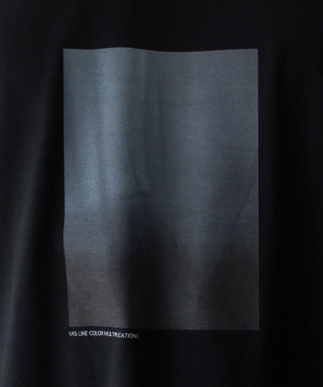 ssstein stein(シュタイン)の24SSコレクションPRINT TEE [ LAYERING ]のBLACK(MERCERISED COTTON) 公式通販サイトsession福岡セレクトショップ
