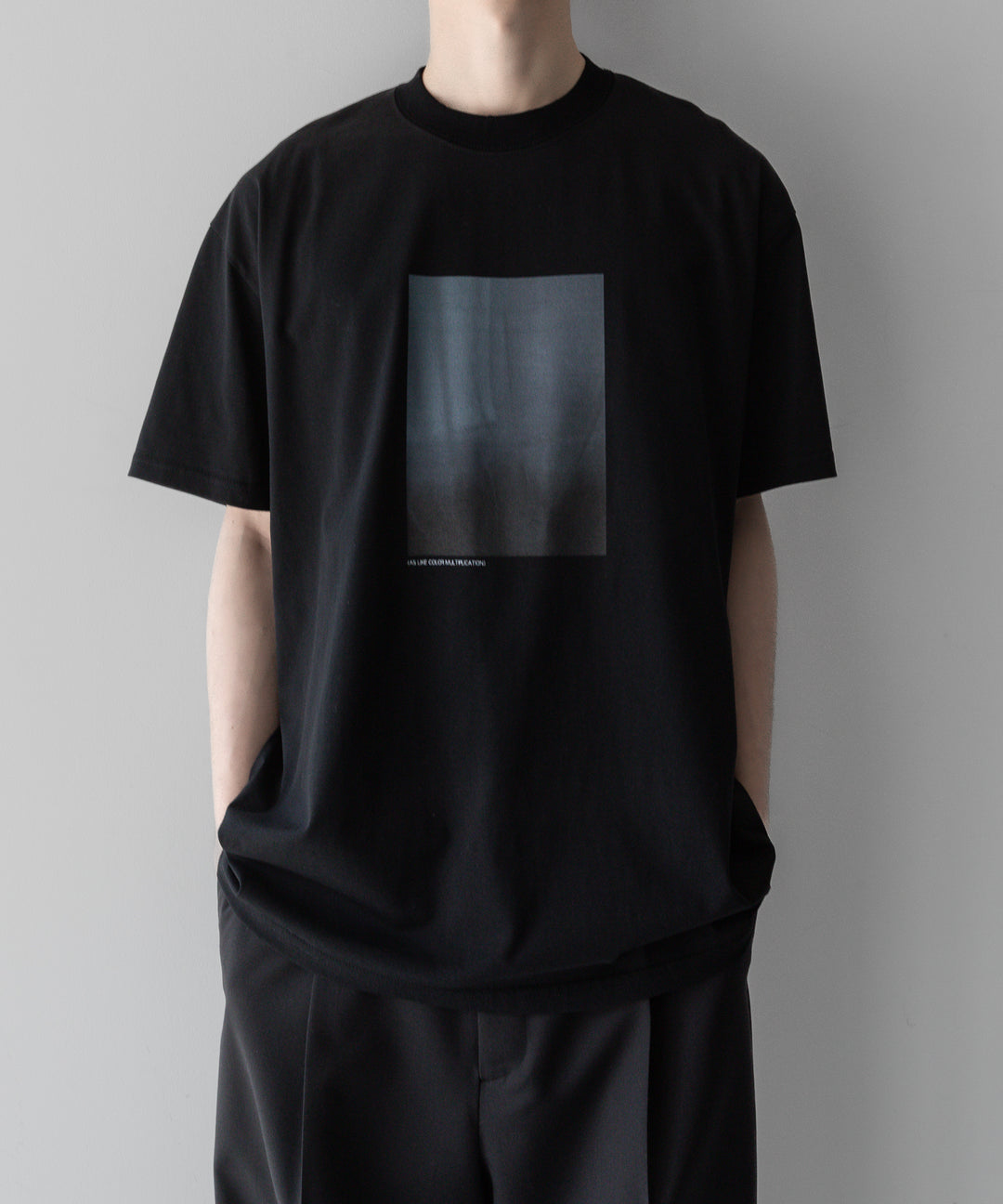 ssstein stein(シュタイン)の24SSコレクションPRINT TEE [ LAYERING ]のBLACK(MERCERISED COTTON) 公式通販サイトsession福岡セレクトショップ