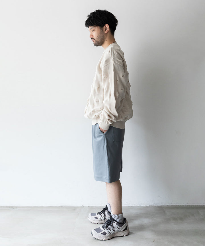 stein(シュタイン)の23AWコレクションLEATHER WIDE EASY SHORT TROUSERSのBLUE GREY