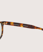 画像をギャラリービューアに読み込む, NOCHINO OPTICALのNOCHINOの#3 RICH AMBER × GREY GREEN to D.GREY(調光レンズ)の公式通販サイトsession福岡セレクトショップ
