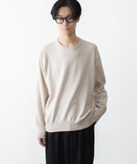 画像をギャラリービューアに読み込む, ssstein(シュタイン)のORGANIC COTTON KNIT CREW NECK LS - IVORYの公式通販サイトsession福岡セレクトショップ
