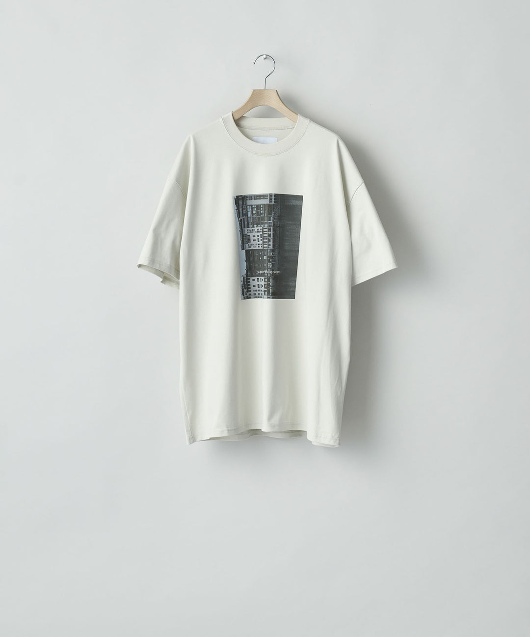 ssstein(シュタイン)のOVERSIZED PRINT TEE [SUBTLETY] - BEIGEの公式通販サイトsession福岡セレクトショップ