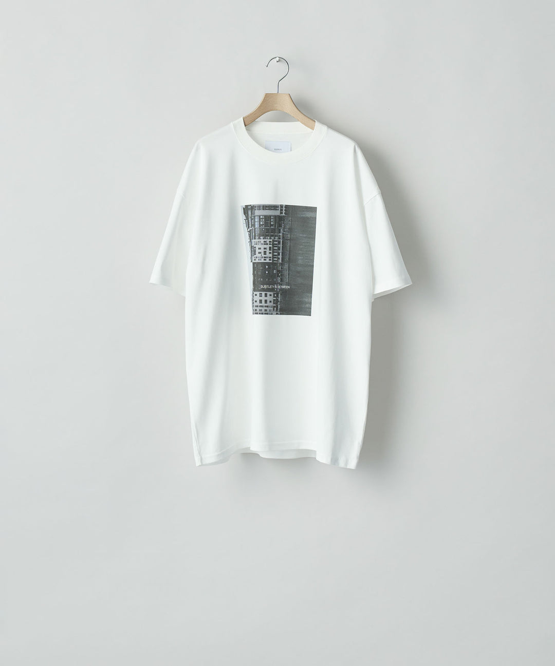 ssstein(シュタイン)のOVERSIZED PRINT TEE [SUBTLETY] - WHITEの公式通販サイトsession福岡セレクトショップ