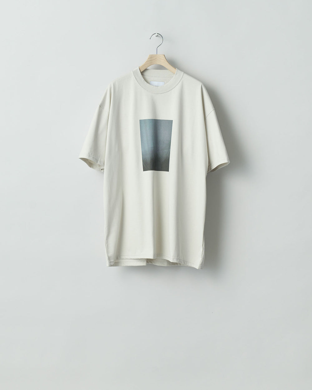 ssstein stein(シュタイン)の24SSコレクション PRINT TEE [ LAYERING ]のBEIGE(MERCERISED COTTON) 公式通販サイトsession福岡セレクトショップ