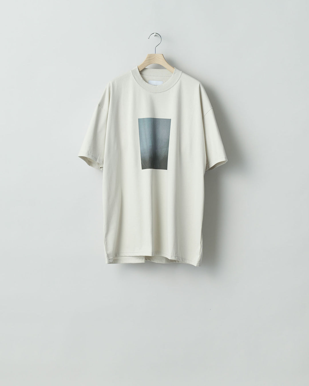 ssstein stein(シュタイン)の24SSコレクション PRINT TEE [ LAYERING ]のBEIGE(MERCERISED COTTON) 公式通販サイトsession福岡セレクトショップ
