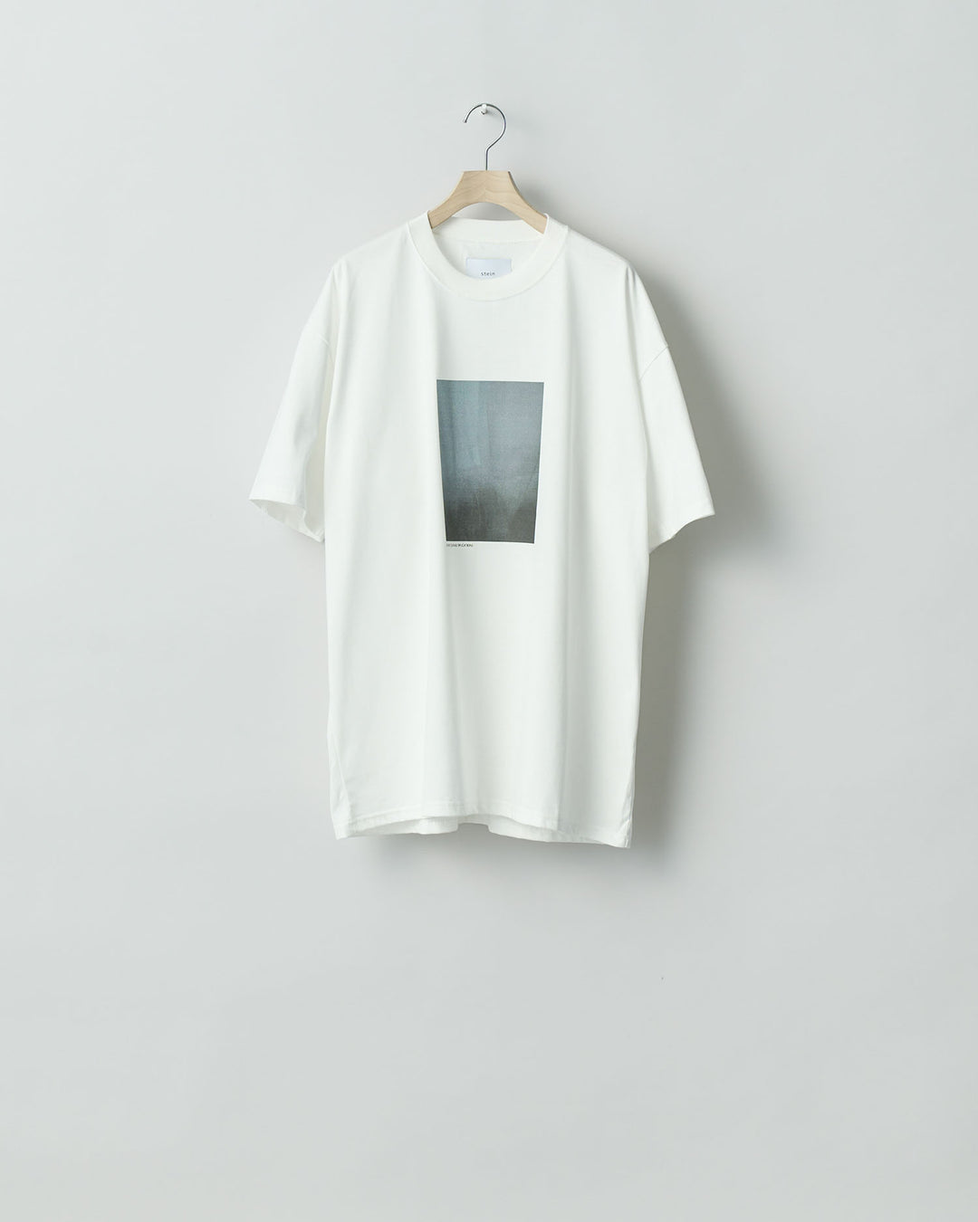 ssstein stein(シュタイン)の24SSコレクション PRINT TEE [ LAYERING ]のWHITE(MERCERISED COTTON) 公式通販サイトsession福岡セレクトショップ
